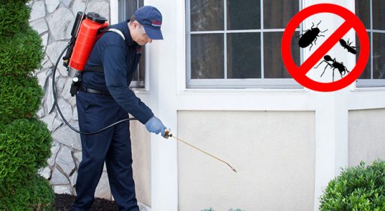 Muratlı Tahtakurusu İlaçlama böcek ilaçlama ve haşere kontrolü — ilaclama-tr.com